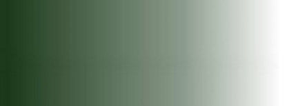 Createx Illustration transparente - Vert mousse transparent 240 ml